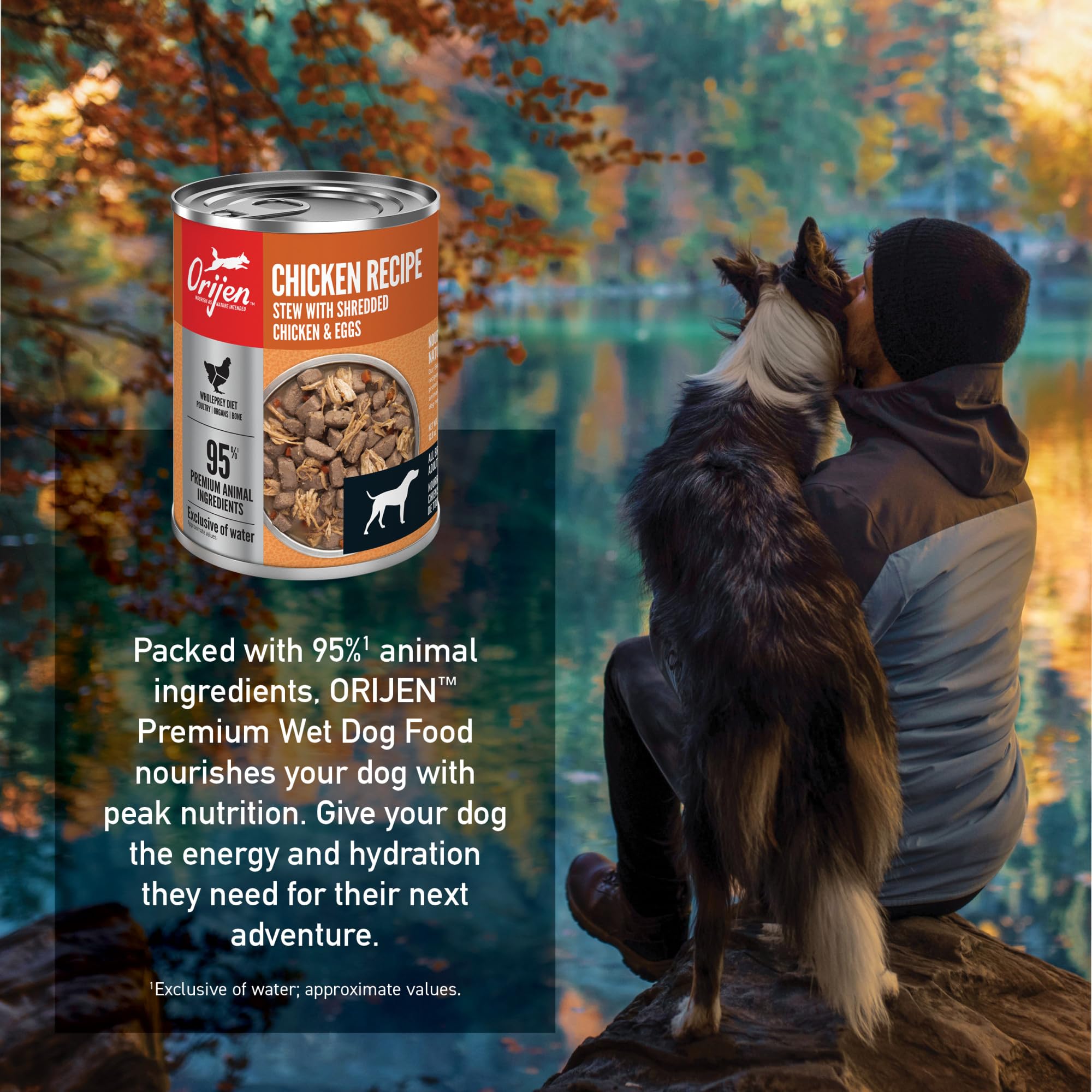 ORIJEN Chicken Recipe Stew with Shredded Chicken and Eggs Wet Dog Food, WholePrey Ingredients, 12.8oz (Case of 12)