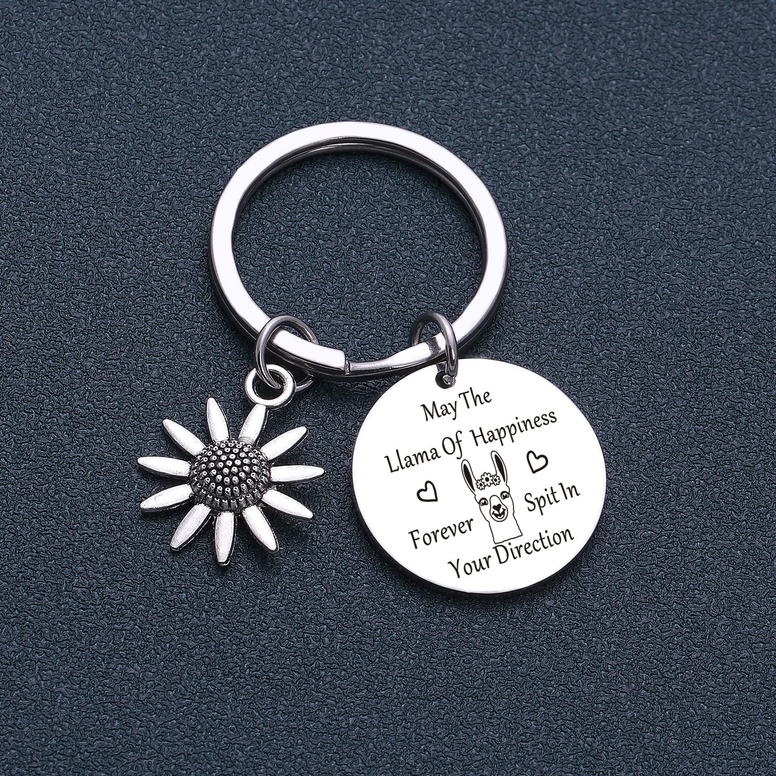 NOTHERS Llama Keychain for Llama Lovers, Animal Lover Gift, Stainless Steel, Unisex-Adults