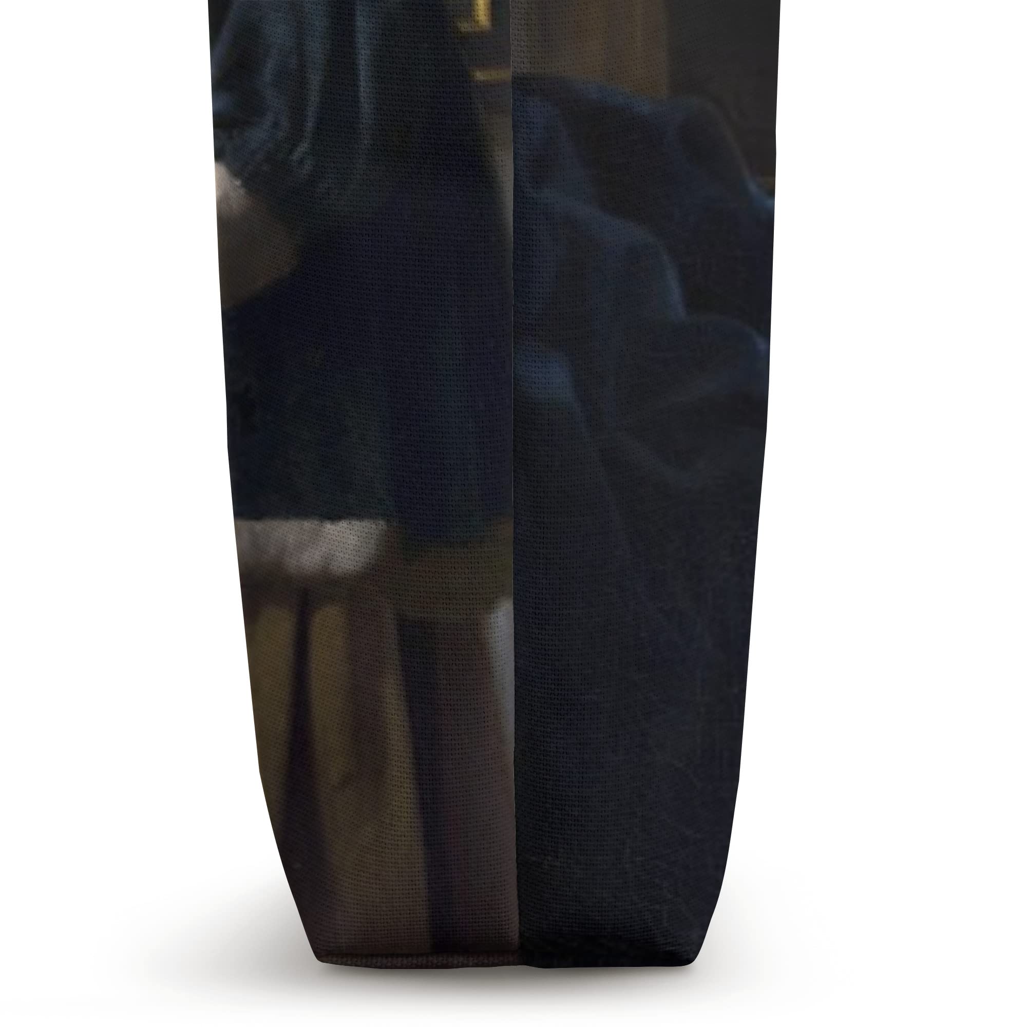 Johannes Vermeer Art Painting Tote Bag