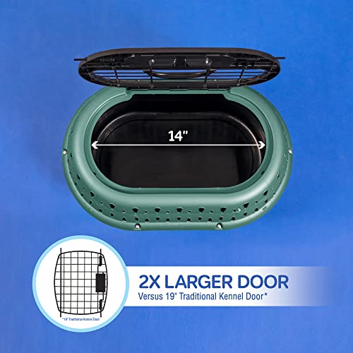 Petmate Two Door or Top Load Pet Kennel Carrier for Pets up to 10 Pounds, Green, 19 Inches Long