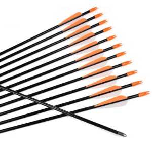 Practice Fiberglass Arrows Archery 30 Inch Target Shooting Safetyglass Recurve Bows Suitable for Youth Children Woman Beginner 6PCS