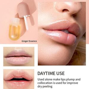 2 Pcs Lip Plumper,Lip Plumper Set,Day&Nigh Lip Plumping Treatments，Natural Lip Plumper and Lip Care Serum, Lip Enhancer for Fuller,Beautiful Fuller, Lip Plumper Gloss,Hydrating & Reduce Fine Lines