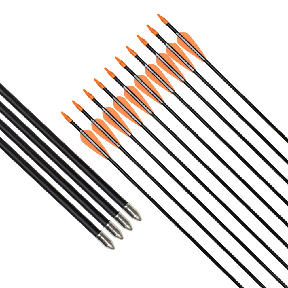 Practice Fiberglass Arrows Archery 30 Inch Target Shooting Safetyglass Recurve Bows Suitable for Youth Children Woman Beginner 6PCS