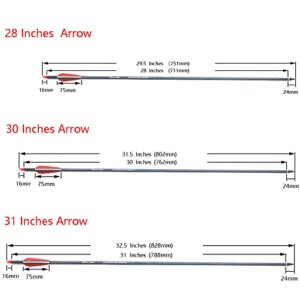 COLORFUL EAGLE 28/30/31 Inches Spine 300/400 Pure Carbon Arrows with Red and White Color for Recurve/Compound Bows Archery Hunting （Pack of 12） (Spine 400, 28 Inches)