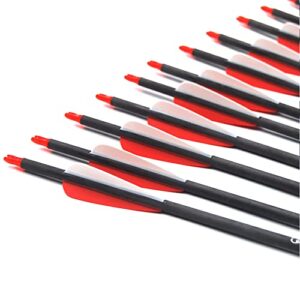 COLORFUL EAGLE 28/30/31 Inches Spine 300/400 Pure Carbon Arrows with Red and White Color for Recurve/Compound Bows Archery Hunting （Pack of 12） (Spine 400, 28 Inches)