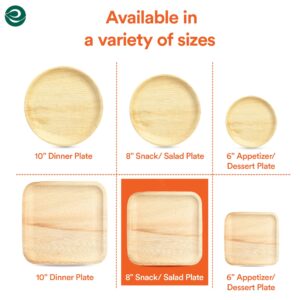 ECO SOUL Compostable 8 Inch Palm Leaf Square Plates (20 Count) Like Bamboo Plates | Biodegradable | Eco-Friendly, Microwave & Oven Safe