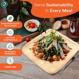 ECO SOUL Compostable 8 Inch Palm Leaf Square Plates (20 Count) Like Bamboo Plates | Biodegradable | Eco-Friendly, Microwave & Oven Safe