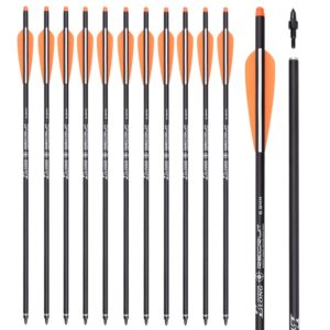 TY Archery Carbon Crossbow Bolts 16/18/20/22 inch Hunting Archery Arrows with 4" Vanes Moon Nocks and Removable Tips (Pack of 12)