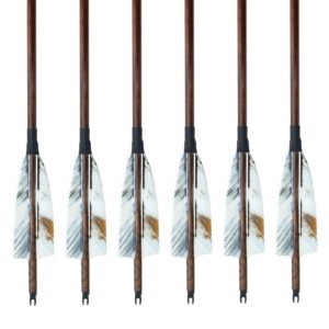 Archery Carbon Arrows 28/29/30/31 Inch 4 Inch Turkey Feather Spine 500 Competition Practice Hunting Target Shooting for Recurve Long Traditional Bow and Compound Bow 6/12Pcs (28 Inch,12 Pcs)