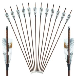 archery carbon arrows 28/29/30/31 inch 4 inch turkey feather spine 500 competition practice hunting target shooting for recurve long traditional bow and compound bow 6/12pcs (28 inch,12 pcs)