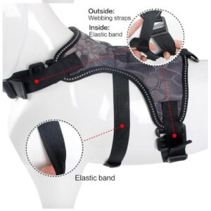 RultSng Pet Dog Harness,Chest Strap Shoulder for Sports Action Camera Fixed Shoulder Strap, Chest Harness Mount Adjustable Chest Strap Belt for Travel Action Cameras Accessories (Size : M)