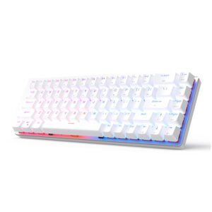 CIY X79 Wired/Wireless Bluetooth Mechanical Gaming Keyboard, RGB Backlit Ultra-Compact 65% Layout 68 Keys Gaming Keyboard, Hot Swappable Keyboard,CNC Aluminum Alloy Panel (EVO Red Switch) (White)