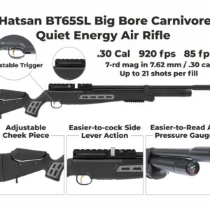 Wearable4U - Hatsan BT 65 SL QE Big Bore Carnivore .30 Cal PCP Air Rifle w/Scope and 100 Paper Targets and 100x .30 Cal Pellets Bundle