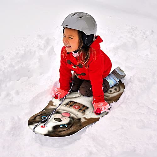 Sno-Storm 36in Foam Winter Kiddy Snow Sled 2-Pack, Multi Character, (AZ21-SBSL360-2PK)