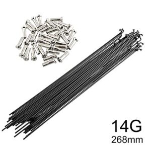 chensong Spokes Nipples 20pcs Road Bike 45# Steel Spokes Bicycle Cycling 14G Black Spokes with Nipples Cycling Spokes (Color : 268)