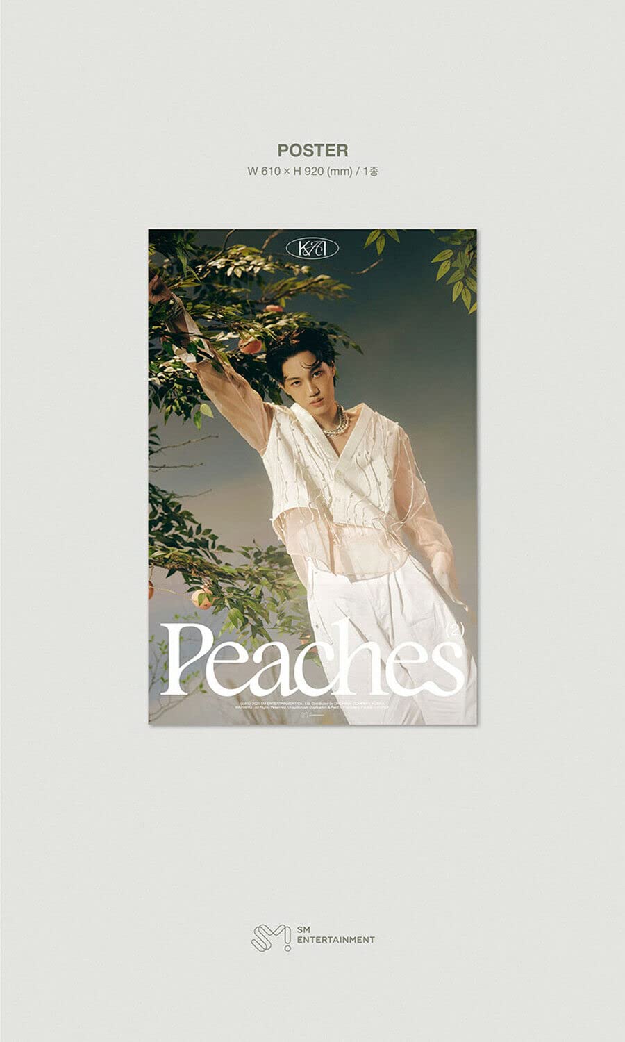 EXO KAI [ PEACHES ] 2nd Mini Album ( DIGIPACK Ver. ) 1ea CD+28p Photo Book+1ea Folded Poster(On pack)+1ea Photo Card+2 EXO STORE GIFT CARD SEALED