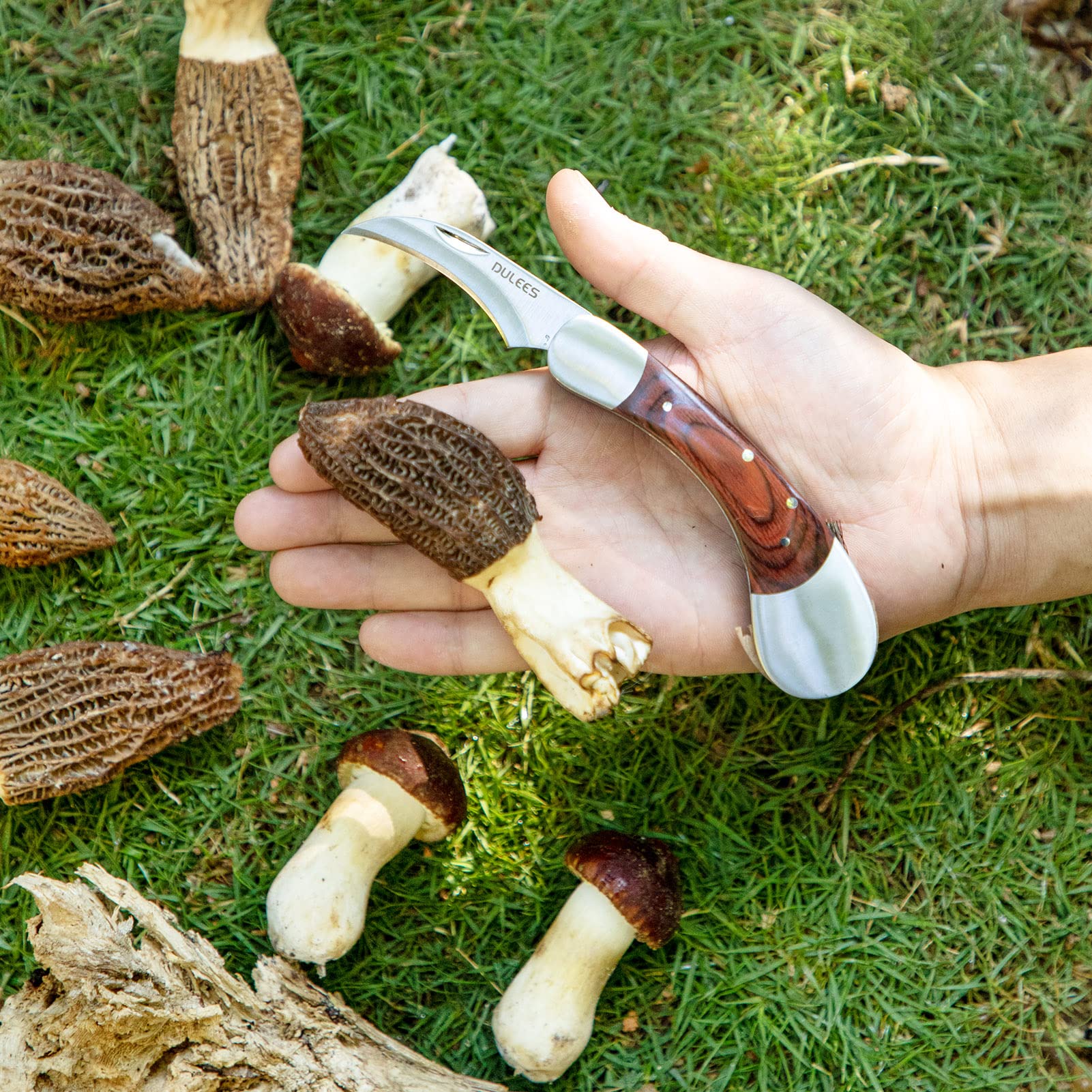 DULEES Mushroom Knife with Brush and Sheath, Sharp Mushroom Foraging knife, Advanced Mushroom Hunting Knife for Morels, Porcini, Chanterelles, Truffle Best Gift for Mushroom Lovers