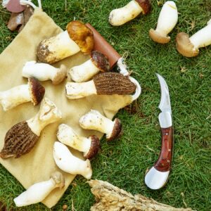 DULEES Mushroom Knife with Brush and Sheath, Sharp Mushroom Foraging knife, Advanced Mushroom Hunting Knife for Morels, Porcini, Chanterelles, Truffle Best Gift for Mushroom Lovers