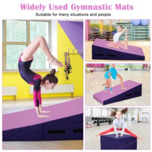 Pink Incline Gymnastics Mat Foldding Gymnastic Tumbling Mat with Handle, Cheese Wedge Gymnastics Tumbling Mat Home Gym Yoga Mat for Women Kids Play, Home Exercise, Aerobics, Gymnastics Training