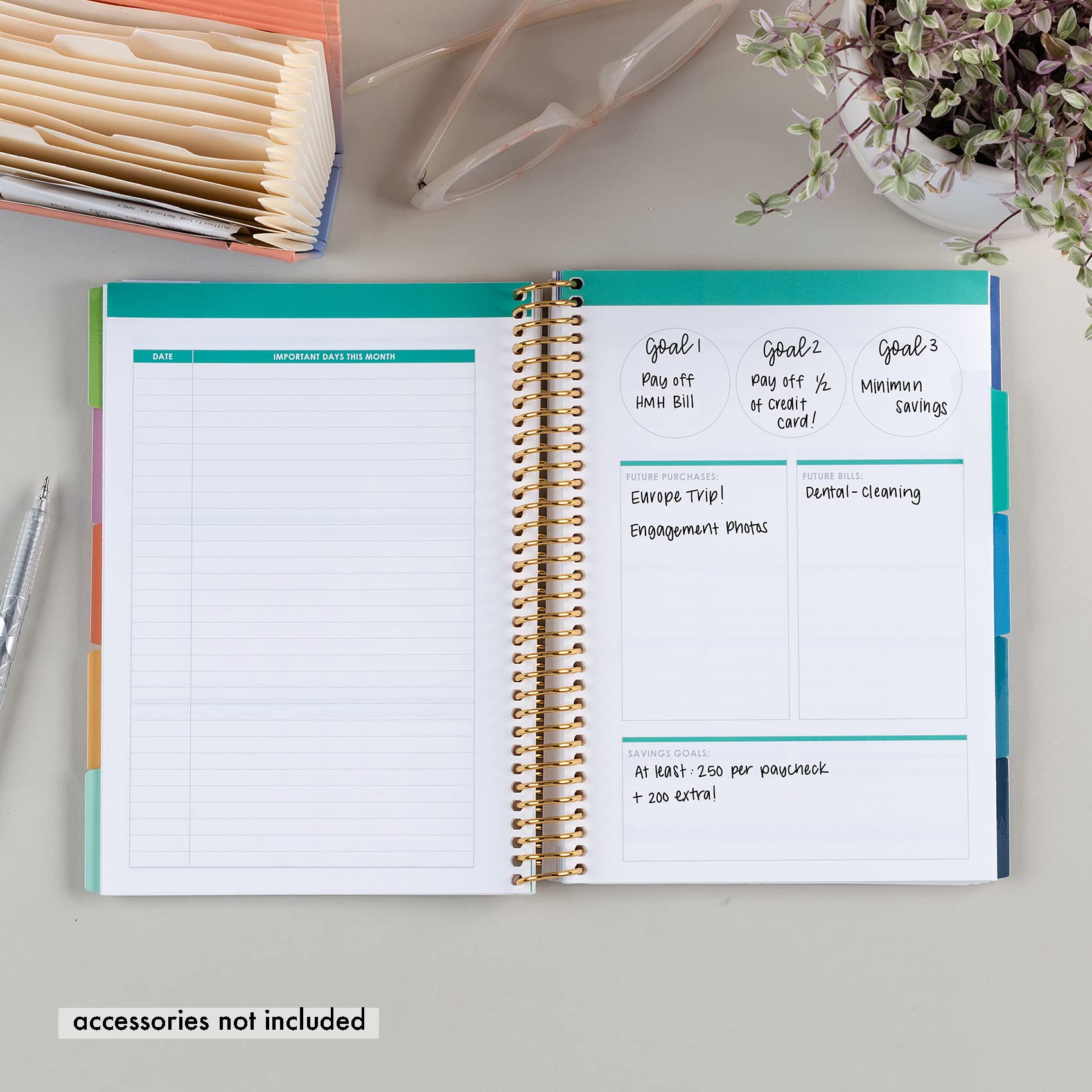 A5 Spiral - Bound Budget Planner. Savings Tracker, 72 Month-At-A-Glance Pages and 4 Pages of Debt Trackers. 13 Tabs. 160 Pages of Thick 80 Lb. Mohawk Paper. Sticker Sheet Included by Erin Condren.