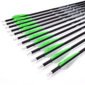 Archery Bow Carbon Arrow Hunting Target Practice Arrows 26 Inch with Removable Tips for Compound & Recurve Bow Spine 500 12PCS Pack