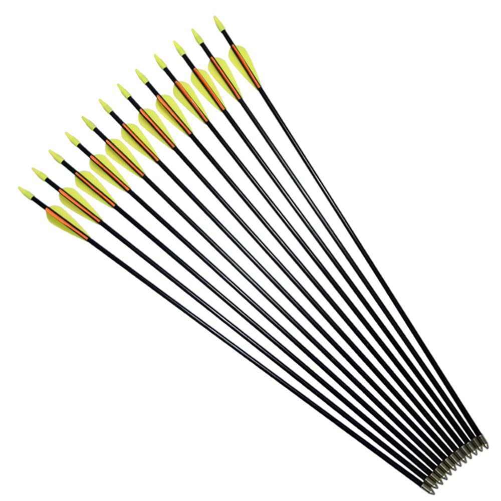 Practice Fiberglass Arrows Archery 28 Inch Target Shooting Safetyglass Recurve Bows Suitable for Youth Children Woman Beginner 6PCS Pack