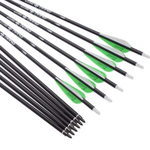 Archery Bow Carbon Arrow Hunting Target Practice Arrows 26 Inch with Removable Tips for Compound & Recurve Bow Spine 500 12PCS Pack