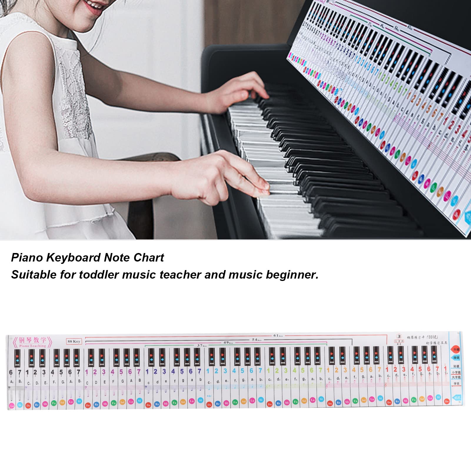 Piano Notes Chart, Music Note Chart, Piano Keyboard Note Chart, 88 Key Chart Durable Keyboard Guide PP Colourful for Finger Practice