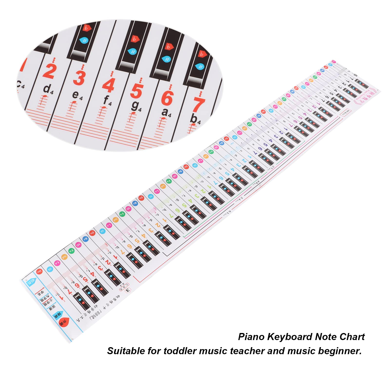 Piano Notes Chart, Music Note Chart, Piano Keyboard Note Chart, 88 Key Chart Durable Keyboard Guide PP Colourful for Finger Practice