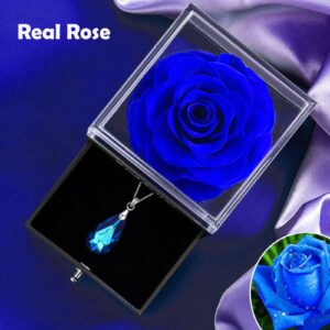 Preserved Blue Rose Box with Crystal Drop Necklace,Real Eternal Rose with S925 Sterling Silver Teardrop Sapphire Necklace,Blue Birthstone Pendant Gift for women on Valentine Anniversary Mothers day.