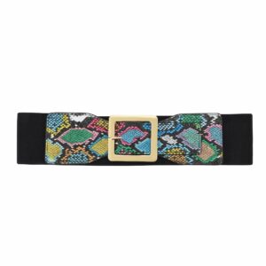 CHIC DIARY Elastic Waist Belt for Women Colorful Snakeskin Wide Cinch Belt Stretchy Waistband