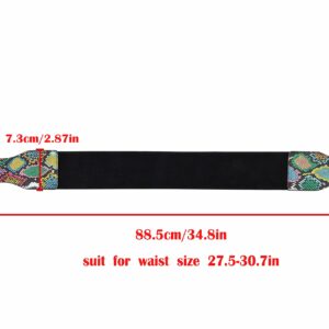 CHIC DIARY Elastic Waist Belt for Women Colorful Snakeskin Wide Cinch Belt Stretchy Waistband