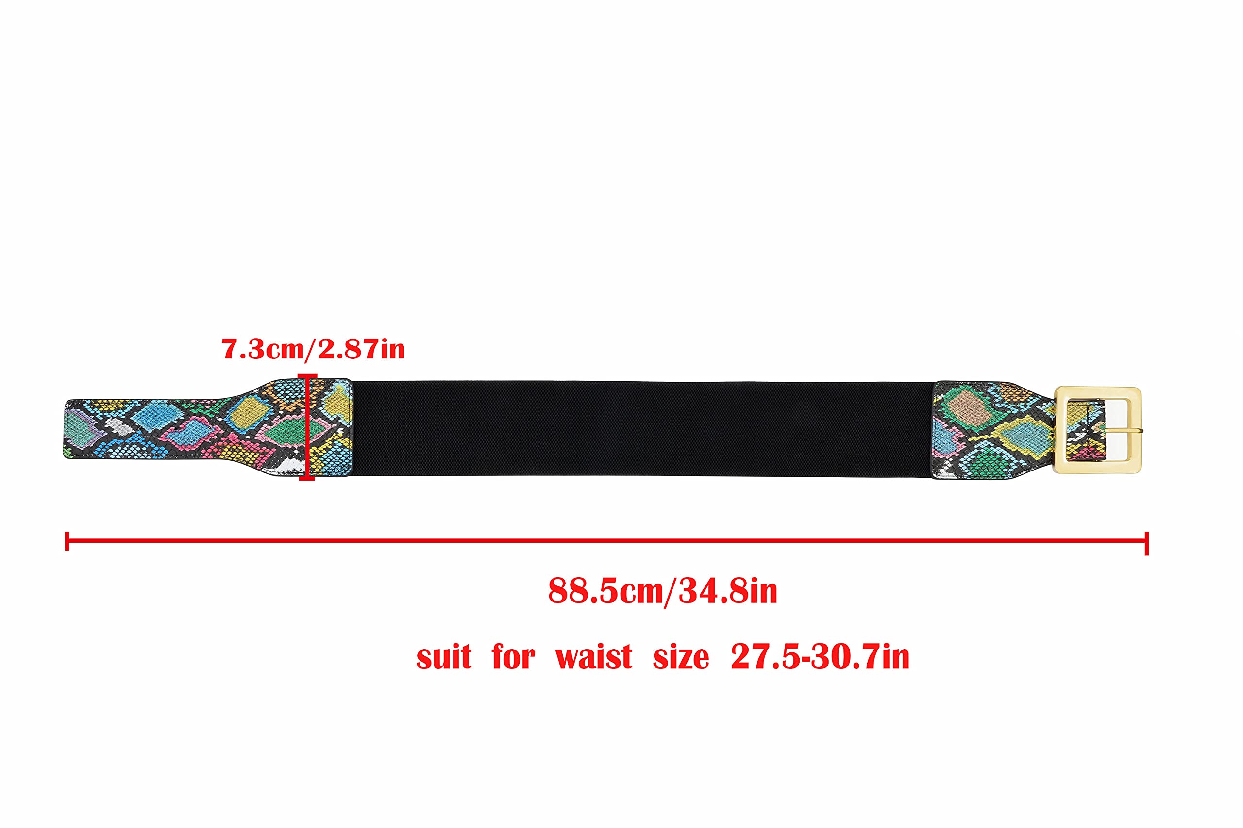 CHIC DIARY Elastic Waist Belt for Women Colorful Snakeskin Wide Cinch Belt Stretchy Waistband