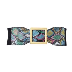 CHIC DIARY Elastic Waist Belt for Women Colorful Snakeskin Wide Cinch Belt Stretchy Waistband