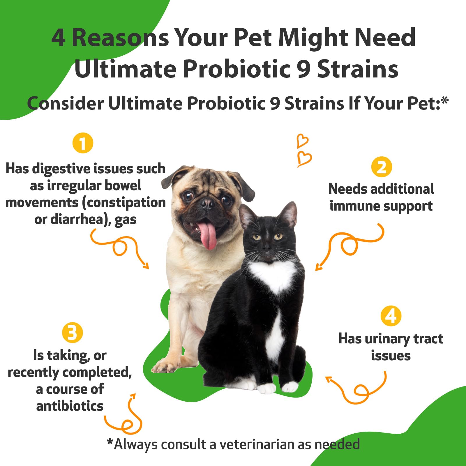 Pet Wellbeing Ultimate Probiotic 9 Strains for Dogs & Cats - Healthy Digestion, Immune Support, Urinary Tract Health - 11.29 oz (320 g) Powder