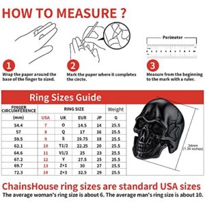 Skull Rings for Women Stainless Steel Jewerly Skeleton Black Head Rings (Size 12)