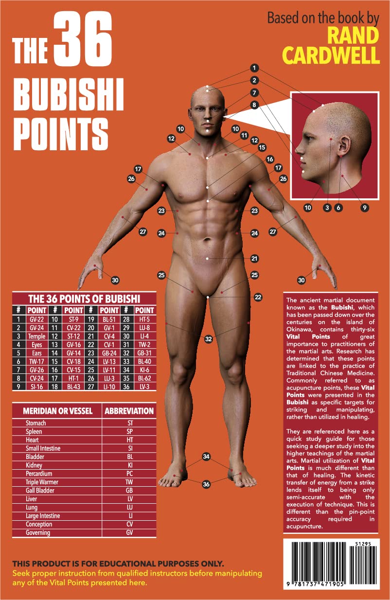 The 36 Bubishi Points, Pressure Points, Vital Points, Martial Arts, 8.5X11 folded or 11x17 unfolded