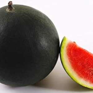 SeedsUP - 30+ Black Beauty Watermelon - Fruit seeds.