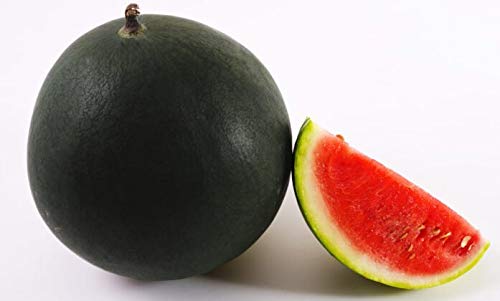 SeedsUP - 30+ Black Beauty Watermelon - Fruit seeds.