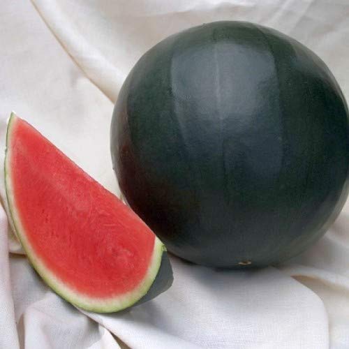 SeedsUP - 30+ Black Beauty Watermelon - Fruit seeds.