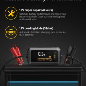 Hulkman Sigma 5 Float Battery Trickle Charger, 5A 6V/12V Smart Car Battery Charger with LED Screen, Automatic Maintainer and Desulfator for Car, Motorcycle, ATV, Lithium, and Deep Cycle Batteries