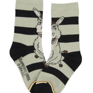 DreamWorks Shrek Boys' Socks Donkey And Shrek 2 Pairs Kids Athletic Crew Socks