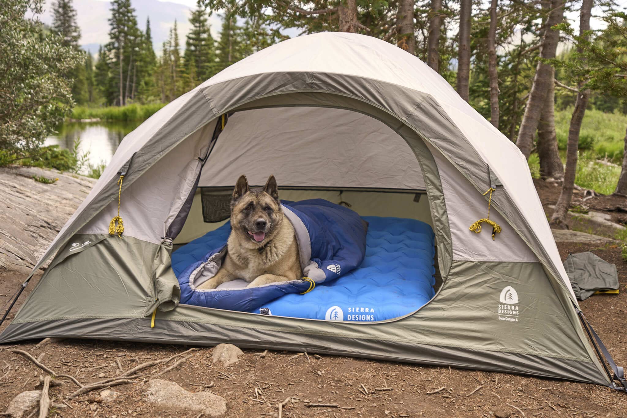 Sierra Designs Fern Canyon 4 Person Tent for Camping - Easy Setup – Includes a Waterproof Removable Rain Fly Ready for Any Conditions - Included Burrito Bag for Quick and Easy Storage…