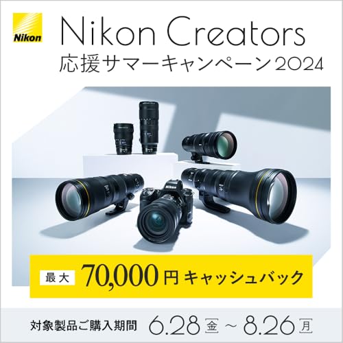 Nikon NIKKOR Z 28-75mm f/2.8 Lens Black