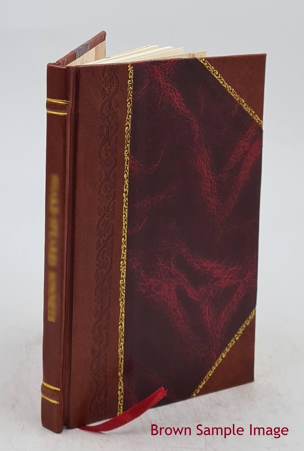 The sanctuary or tent of meeting, usually called the tabernacle : a short study of its forms, materials, etc. .. a short study of its forms, materials, etc. .. 1895 [Leather Bound]