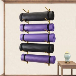 LWMD Metal Yoga Mat Holder Wall Mount, 5 Tier Gold Foam Rollers/Exercise Mat Rack for Hanging Yoga Strap Resistance Bands Ropes