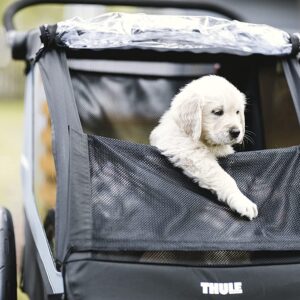 Thule Courier Dog Trailer Kit