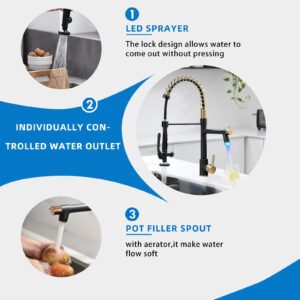 Fapully LED Kitchen Faucet with Pull Down Sprayer,Black&Gold Commercial Kitchen Faucet for Kitchen Sink