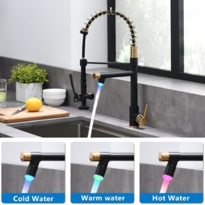 Fapully LED Kitchen Faucet with Pull Down Sprayer,Black&Gold Commercial Kitchen Faucet for Kitchen Sink