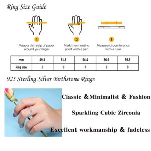 Simple Heart Birthstone Ring for Women 925 Sterling Silver Stackable Promise Ring with Colorful Cubic Zirconia Minimalist Jewelry Gift (March, 6)